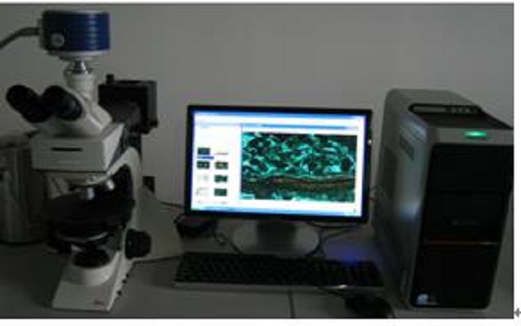 DLTB-600型地質流體包裹體冷熱臺測試裝置
